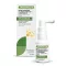 Naturalis Mund- Und Rachenspray (20 ml)