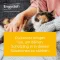 ENGYSTOL T ad us.vet.Tabletten, 100 St