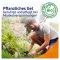 Voltanatura Pflanzliches Gel Bei Muskelverspannung (50 ml)