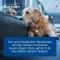 Nurexan ad us. vet. Tabletten , 500 St