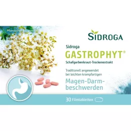 SIDROGA GastroPhyt 250 mg Filmtabletten, 30 St