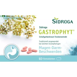 SIDROGA GastroPhyt 250 mg Filmtabletten, 60 St