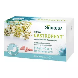 Sidroga GASTROPHYT® Filmtabletten, 60 St