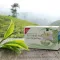 H&amp;S Bio Grüner Tee aus Darjeeling Filterbeutel, 20X2 g
