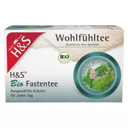 H&amp;S Bio Fastentee Filterbeutel, 20X1.5 g