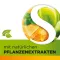 Dobensana Herbal Honig Vitamine C &amp; Zink Pastil. (16 stk)