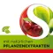 Dobensana Herbal Kirschgeschm.vit.c &amp; Zink Pastil. (36 stk)