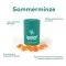 Ipalat Pastillen Flavor Edition Sommerminze (40 stk)