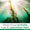 Vitamin D-Loges 7.000 I.E. pflanzlich Wochendepot, 60 St