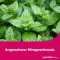 LINGUMELT akut Schmelztabletten, 12 St