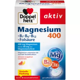 DOPPELHERZ Magnesium 400+B1+B6+B12+Folsäure BTA, 6X15 St