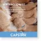 CAPSTAR 57 mg Tabletten f.große Hunde, 1 St
