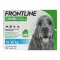 FRONTLINE COMBO gegen Zecken, Flöhe bei Hunden M (10-20 kg), 3 St