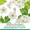 cratae-Loges 450 mg Weißdorn Filmtabletten, 100 St