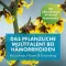 FAKTU lind Hämorrhoidensalbe mit Hamamelis, 25 g
