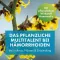 FAKTU lind Hämorrhoidenzäpfchen mit Hamamelis, 10 St