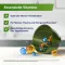 Gelencium Cannabis Plus Kapseln mit Vitamin B12, 30 St