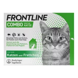 FRONTLINE Combo Spot on Katze Lsg.z.Auft.a.Haut, 6 St