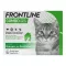 FRONTLINE COMBO SPOT ON Katze, 6 St