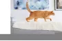 Instructions for use for FRONTLINE COMBO SPOT ON Katze, 6 St - 4