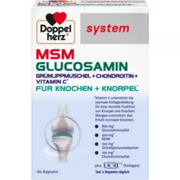 DOPPELHERZ MSM Glucosamin system Kapseln, 60 St