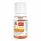 Doppelherz B12 + D3 Duo Aktiv Trinkampullen, 8 St