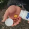 Pure Encapsulations Chondro aktiv Kapseln, 60 St
