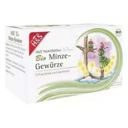 H&amp;S Wintertee Bio Minze-Gewürze Filterbeutel, 20X2.0 g