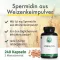 Green Naturals Spermidin 1,6 mg vegan Kapseln, 240 St