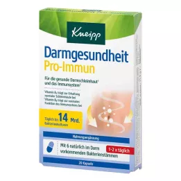 KNEIPP Darmgesundheit Pro-Immun Kapseln, 20 St