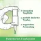 Ocuvers drops Relief Augentropfen, 10 ml