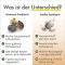 Green Naturals schwarzer Knoblauch 600mg mit Sac Kps, 180 St
