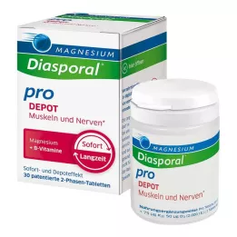 MAGNESIUM DIASPORAL pro B-Vit.DEPOT Musk.+Nerv.Tab, 30 St