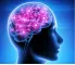 Instructions for use for Neuropep Kapseln (30 stk) - 2