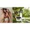 Plantana Olive Pflege Duschbad mit Bio-Olive, 500 ml