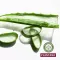 Plantana Aloe Vera Pflege Duschbad mit Bio-Aloevera, 500 ml