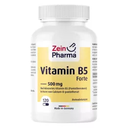 VITAMIN B5 PANTOTHENSÄURE 500 mg Kapseln, 120 St
